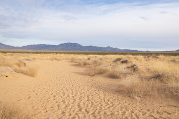 Walking path to Kelso Dunes, Mojave National Preserve, California