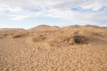 Walking path to Kelso Dunes, Mojave National Preserve, California