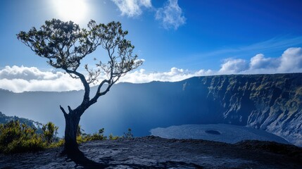 Volcanic Crater with a Lone Tree