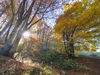 Autumn panorama of Vitosha Mountain, Bulgaria