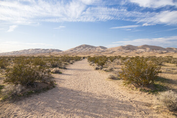 Walking path to Kelso Dunes, Mojave National Preserve, California