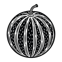 melon on white background