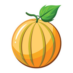 melon on white background