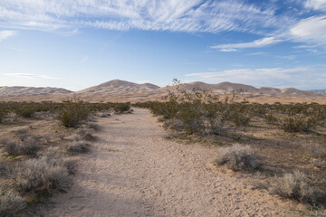 Walking path to Kelso Dunes, Mojave National Preserve, California