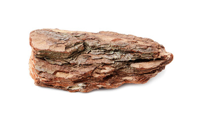One piece of tree bark on white background