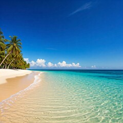 Fototapeta premium crystal clear turquoise water with palm trees on a white sandy beach in the caribbean