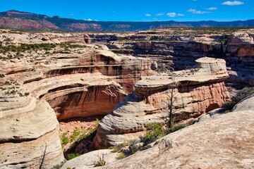 Fototapeta premium Fall View of White Canyon in Natural Bridges National Monument in Utah.