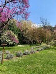 Beautiful garden path in Italy