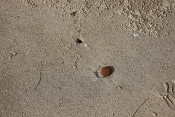 single smooth round stone laying on coarse beach sand