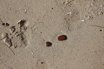 small smooth rounded stones lay on beach sand
