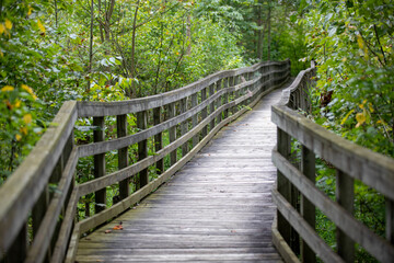 A boardwalk at the beginning (or end - it's a loop) of a nature trail in a provincial park in Ontario.