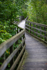 A boardwalk at the beginning (or end - it's a loop) of a nature trail in a provincial park in Ontario.