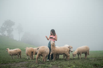 Obraz premium A woman stands among sheep in a foggy pasture, creating a serene rural scene with lush greenery and mist.