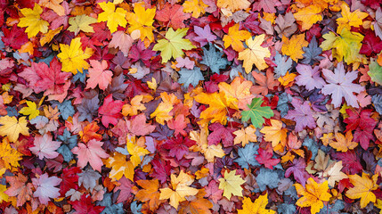 Colorful autumn leaves scattered on the ground, creating a vibrant natural tapestry.