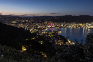 ニュージーランド　ウェリントンのマウント・ビクトリアからの見える港の夜景