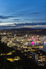ニュージーランド　ウェリントンのマウント・ビクトリアからの見える港の夜景