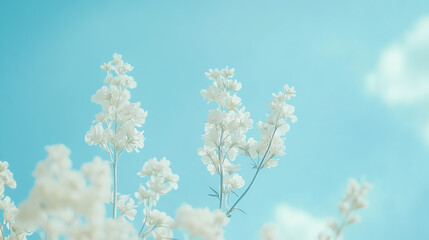 Delicate white flowers against a clear blue sky, creating a serene and tranquil atmosphere.