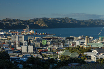 ニュージーランド　ウェリントンのプリンス・オブ・ウェールズ公園からの見える市街地と港