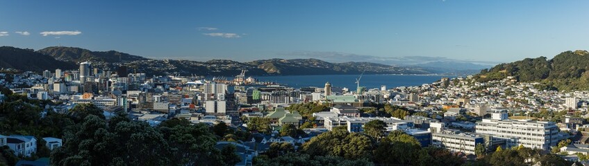 ニュージーランド　ウェリントンのプリンス・オブ・ウェールズ公園からの見える市街地と港
