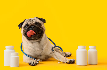 Cute pug dog with stethoscope and pills lying on yellow background