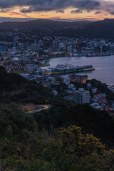 ニュージーランド　ウェリントンにあるマウント・ビクトリアからみえる夕暮れ時の市街地と港