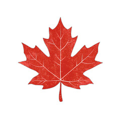 Red Maple Leaf with White Veins on  Image Illustration on transparent & white background, isolate PNG