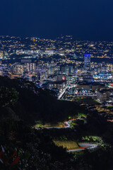 ニュージーランド　ウェリントンのマウント・ビクトリアからの見える港の夜景