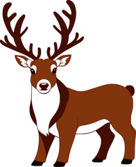 Fototapeta premium reindeer