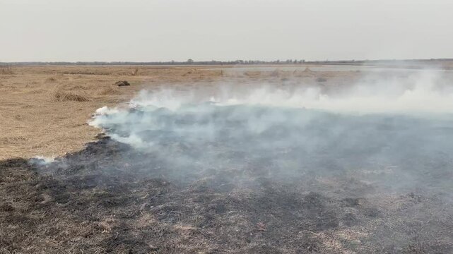 Meadows with dry grass burn with grey smoke in spring