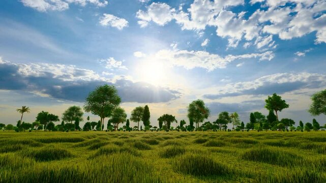  Nature forest life all things growth animation