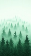 Fototapeta premium Foggy Forest Landscape Misty Pine Trees Nature Background Wilderness Green Canopy Wo