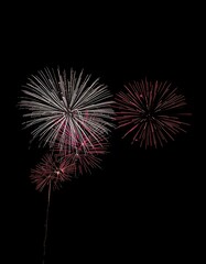 fireworks in the sky