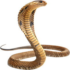 Naklejka premium Realistic King Cobra clipart highlighting fierce stance, spread hood, and scales. 