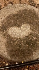 close up of a stone