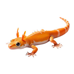 Colorful orange and white gecko with unique features