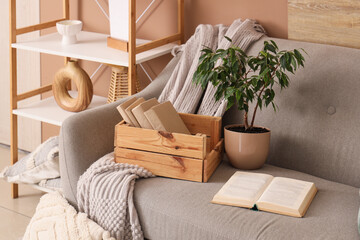 Box with books and plant on sofa in living room