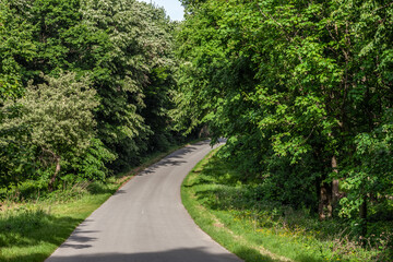 Typical landscape with a paved road in the middle of a forest and trees with green colors during in the middle of the countryside, with their foliage, in a European rural environment.