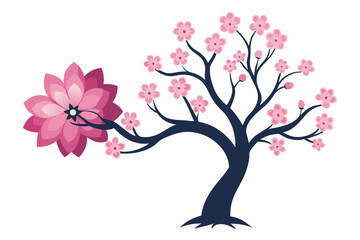  Pink flower, Cherry blossoms tree isolated on white background