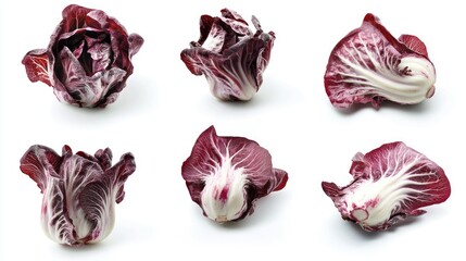 Fresh Red Leafy Greens on White Background