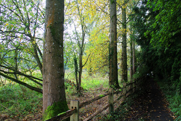 奥行の暗く細い道