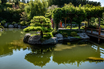 Fototapeta premium A plot of a Japanese garden with a pond and green plants.