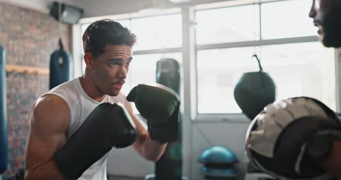 Gym, men and coach with boxer for fitness, practice punch and learning with determination for sports. People, personal trainer and boxing student with gloves for fist power, fight skill and workout