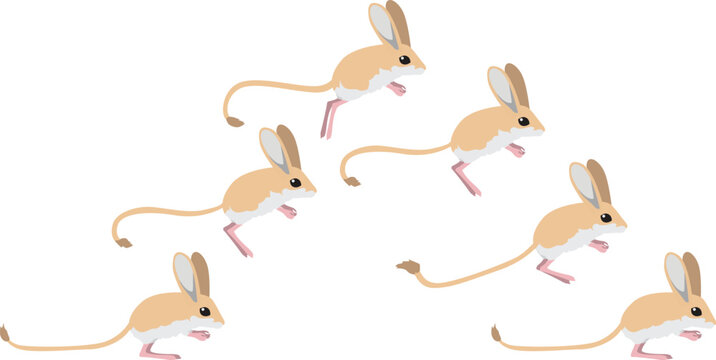 Jerboa Jumping Mouse Animation Sequence Cartoon Vector Illustration