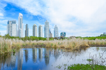 Reserva Ecológica Costanera Sur, Buenos Aires, Argentina. Humedal urbano con edificios de Puerto...