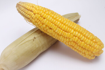 corn on the cob