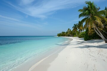 Fototapeta premium beach with white sand and coconut trees on a sunny day