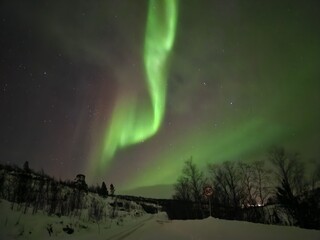 green and pink northern lights in Alta norway
