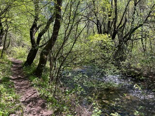 The upper course of the Zrmanja River and immediately after the source (Velebit Nature Park, Croatia) - der Oberlauf des Flusses Zrmanja und unmittelbar nach der Quelle (Naturpark Velebit, Kroatien)