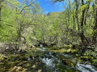 The upper course of the Zrmanja River and immediately after the source (Velebit Nature Park, Croatia) - der Oberlauf des Flusses Zrmanja und unmittelbar nach der Quelle (Naturpark Velebit, Kroatien)