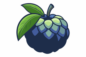  custard apple vector art illustration 